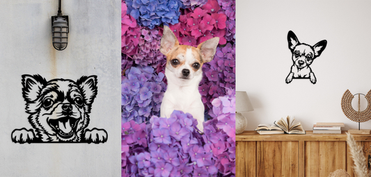 Embrace the Charm of Chihuahuas with Our Expanded Collection at Metal Dogs