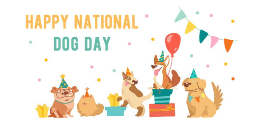 Celebrating National Dog Dad Day: The Perfect Gifts for Dog Dads